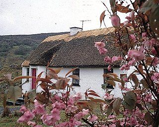 Connemara Country Cottages Glentrasna Ngoại thất bức ảnh